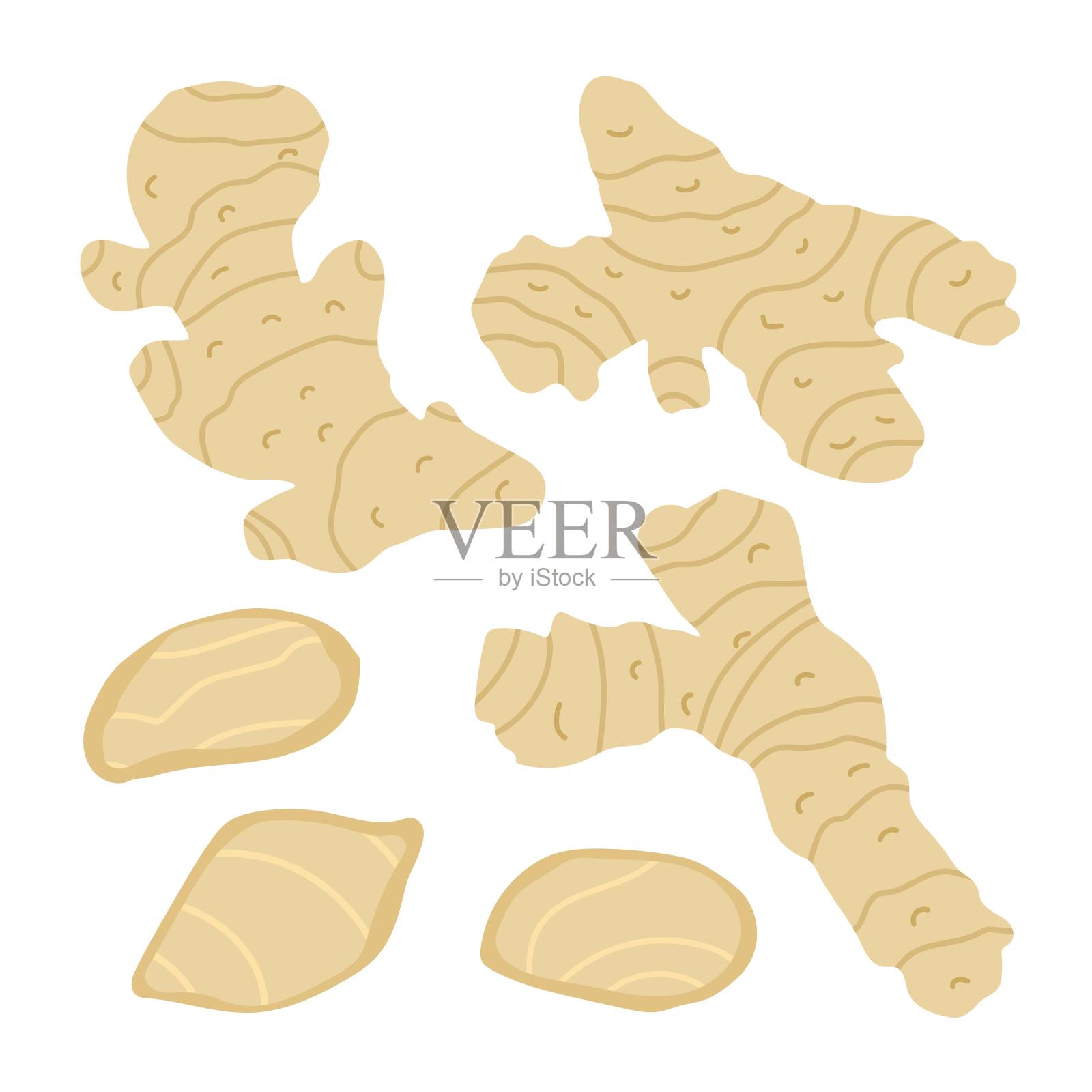 姜片一套切成薄片的姜根或根茎和薄片平面风格在矢量插图。孤立的元素。用于生态市场和健康食品包装。天然收获，健康产品，茶食材插画图片素材