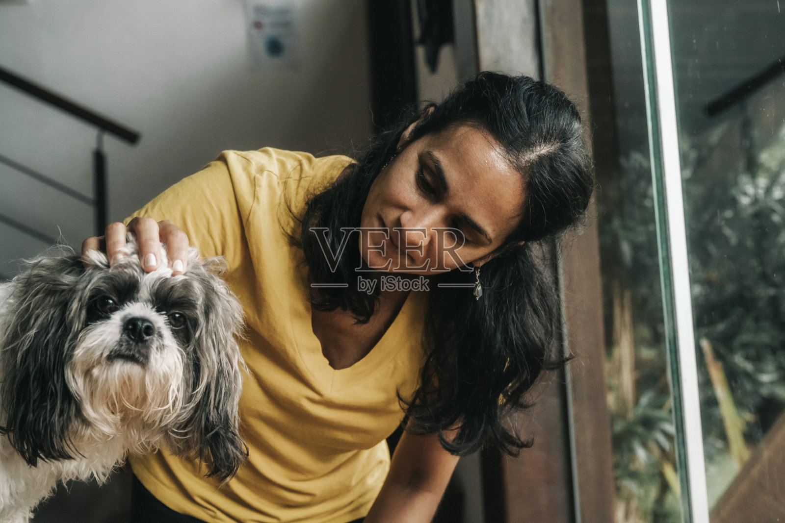 女人抚摸小狗照片摄影图片