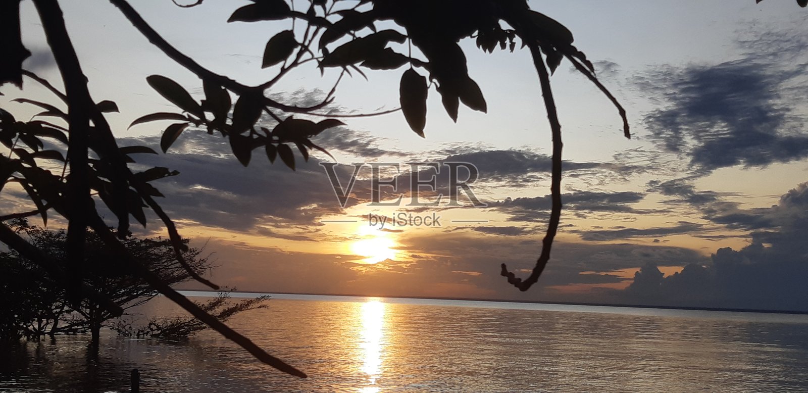 自然之美照片摄影图片