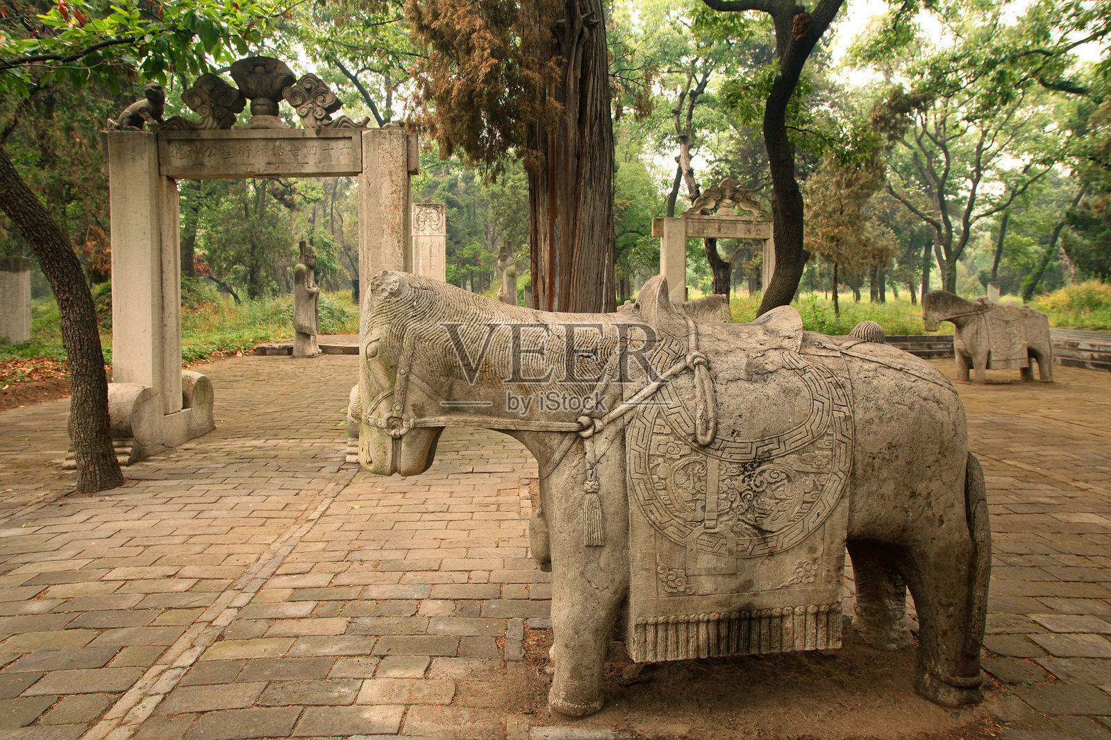 中国古代孔子墓地，有一匹马的雕像照片摄影图片