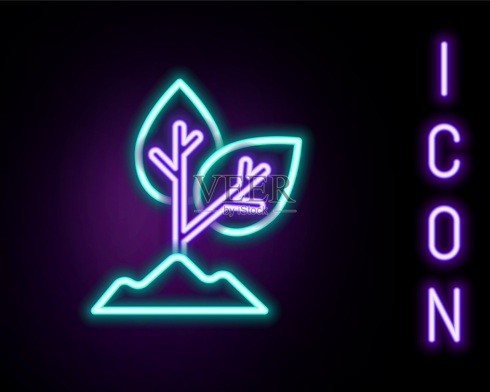 发光的霓虹灯线植物图标孤立在黑色上插画图片素材