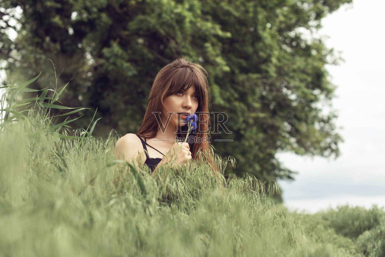 春天田里的年轻女子照片摄影图片