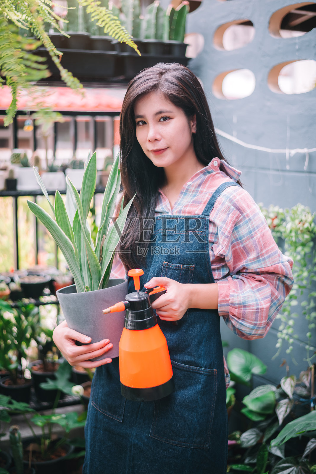 快乐的年轻亚洲妇女在花园里种植植物，照顾室内植物，园丁，小企业主。照片摄影图片