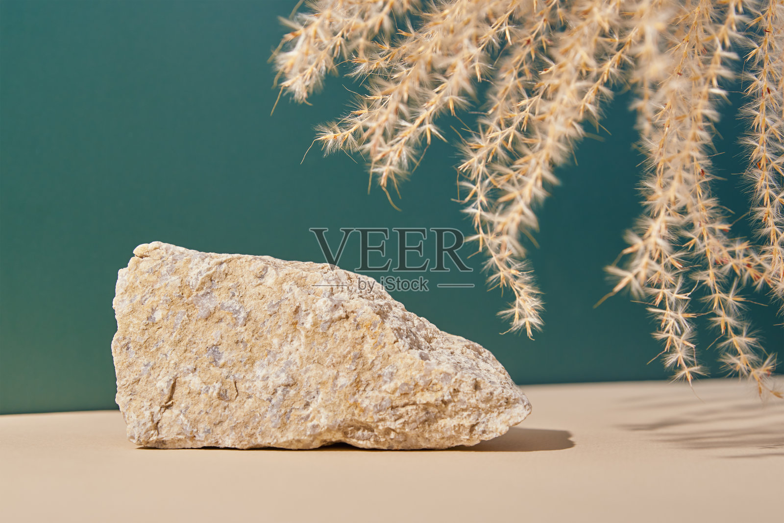 石阶和干植物在米色和绿色的背景照片摄影图片