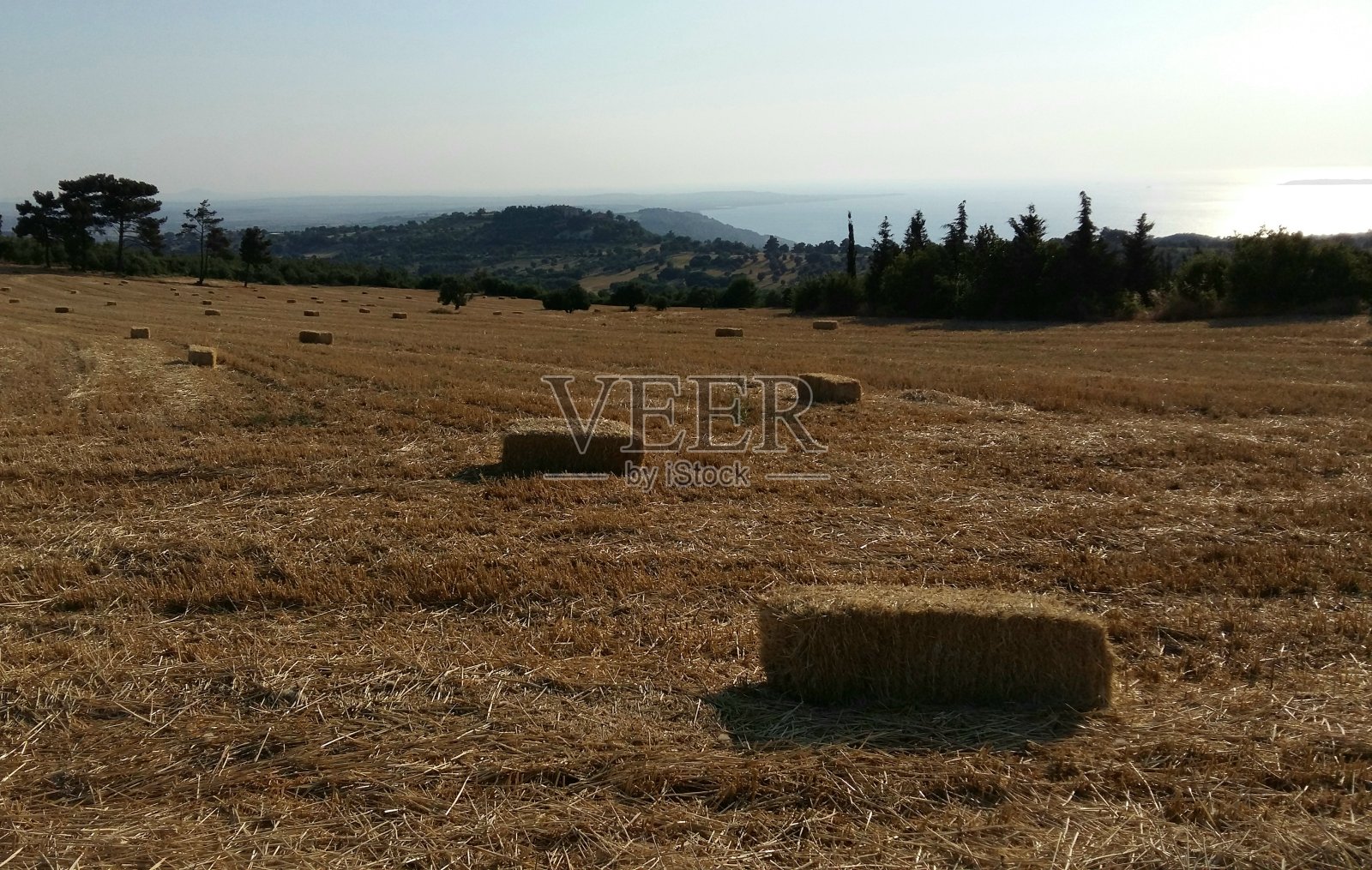 稻草照片摄影图片
