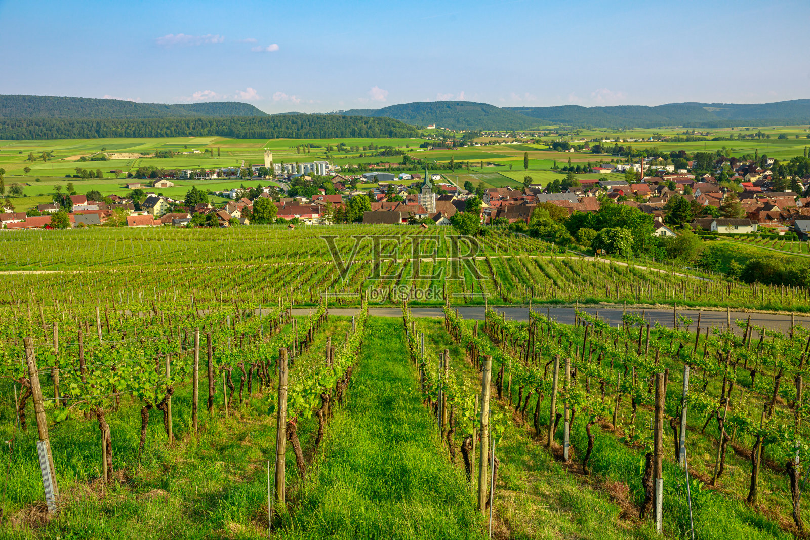 梯田葡萄园瑞士照片摄影图片