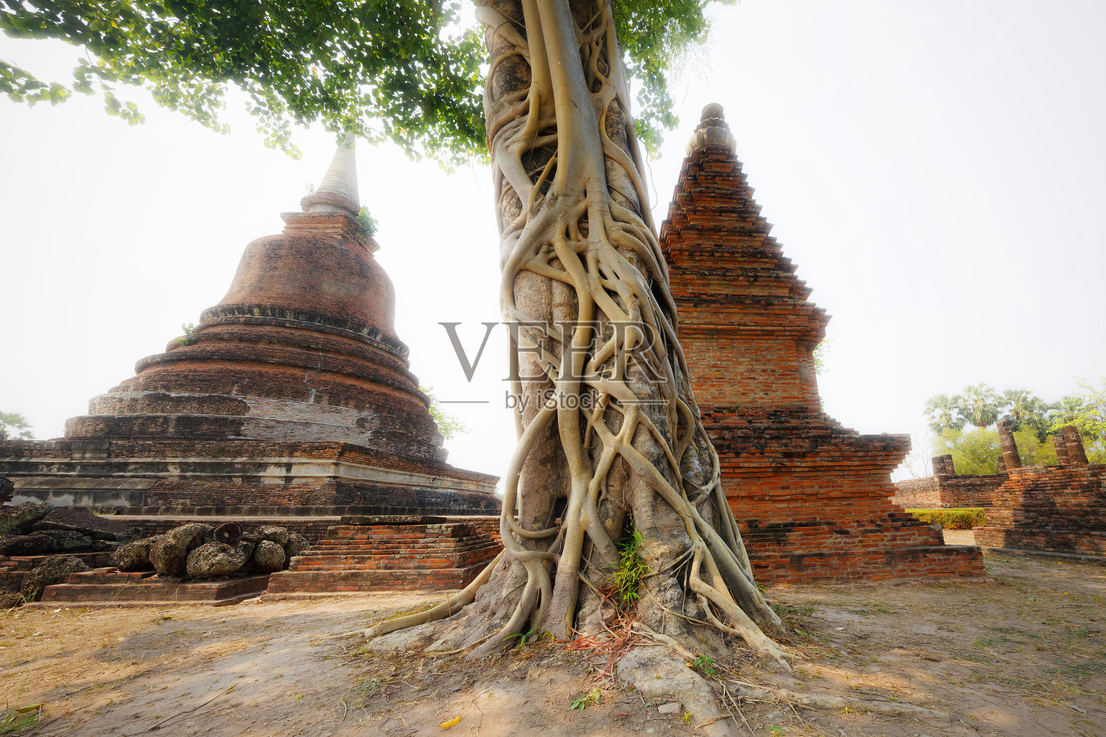 素可泰历史公园覆盖了13世纪和14世纪素可泰王国的遗址，位于现在的泰国北部。它位于现代城市素可泰附近。照片摄影图片