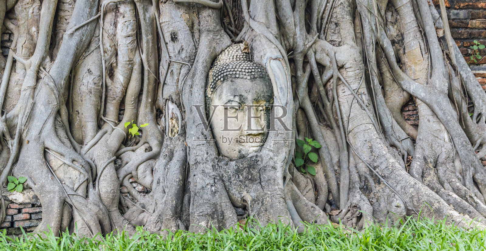 泰国大城府是著名的佛教寺庙，也是泰国历史公园的标志性建筑照片摄影图片