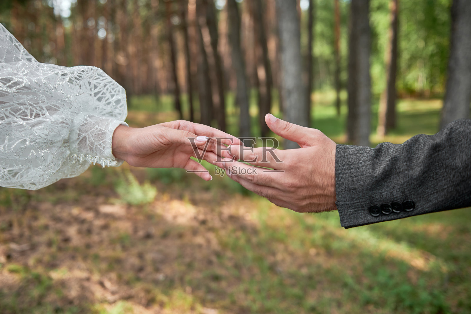 新婚夫妇的手与结婚戒指在森林背景，复制空间。新婚夫妇，新娘和新郎，手拿戒指，特写镜头照片摄影图片