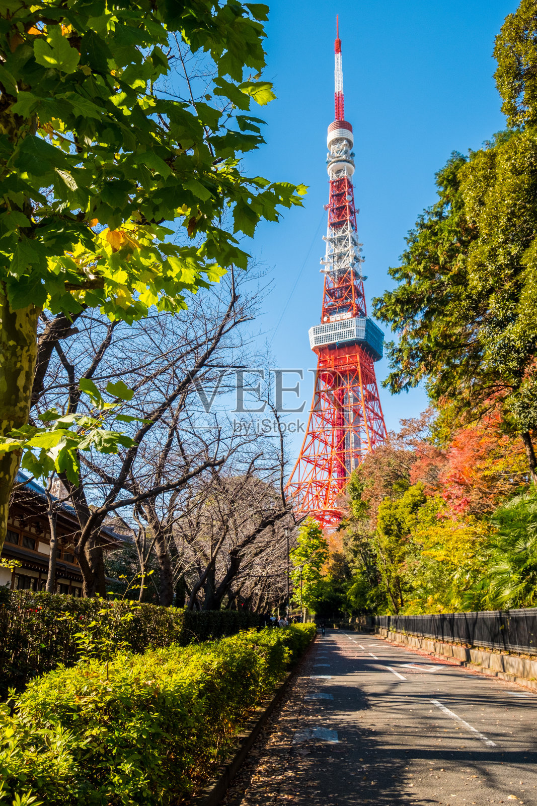 一名男子在通往东京市中心标志性的东京塔的公园里跑步;日本的首都。一个男人的动作有点模糊。照片摄影图片
