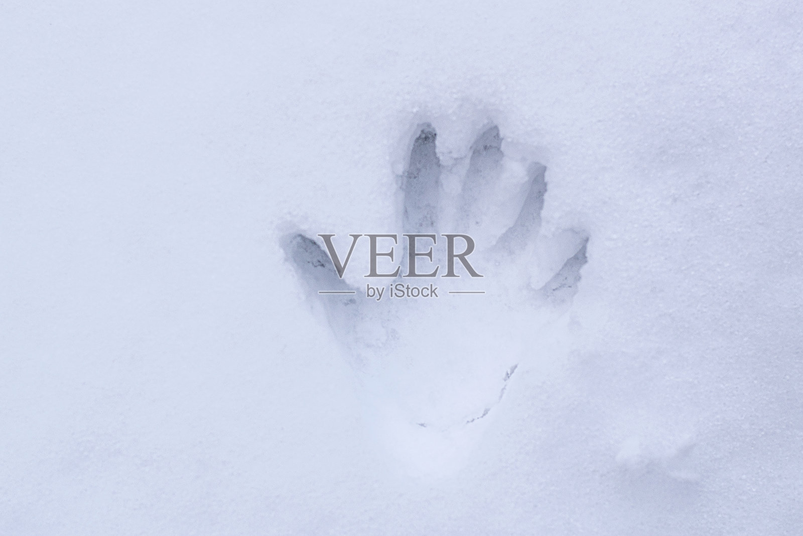 雪地上的男人的手印照片摄影图片