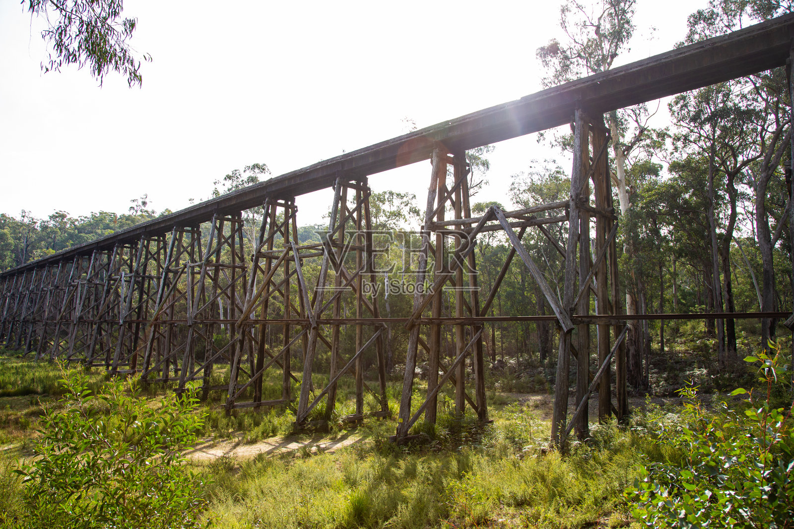 横跨澳大利亚山谷的木制栈桥照片摄影图片