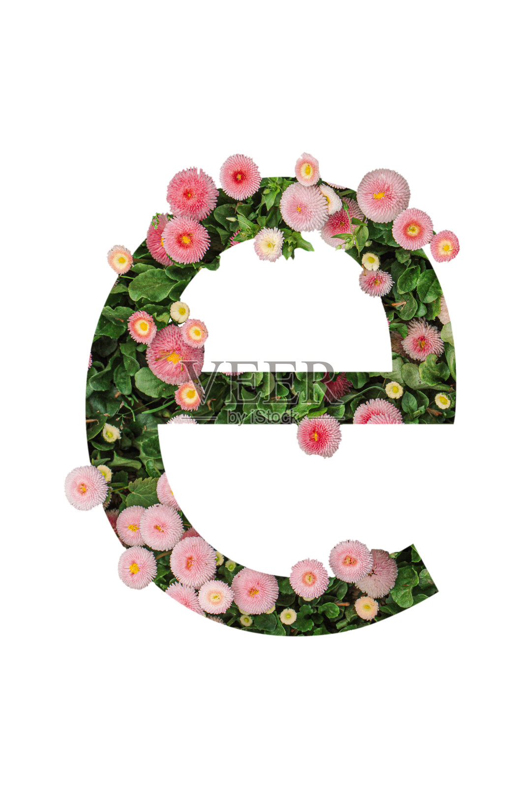 小写字母由真正的天然花朵和叶子制成。。花字体的概念。独特的字母和数字集合。春夏季情人节创意照片摄影图片