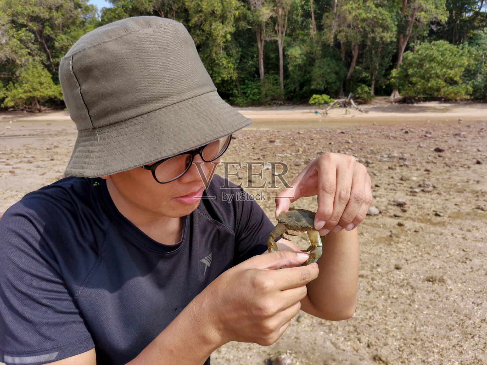 快乐的亚洲男性旅行者抓住并握住蓝色游泳蟹在森林背景的海滩上。野生动物，冒险旅行的概念。Endau、马来西亚照片摄影图片