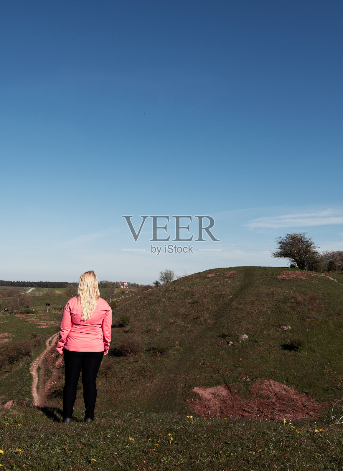 在瑞典的Brösarps巴卡尔，一名女子正在欣赏美丽的风景照片摄影图片