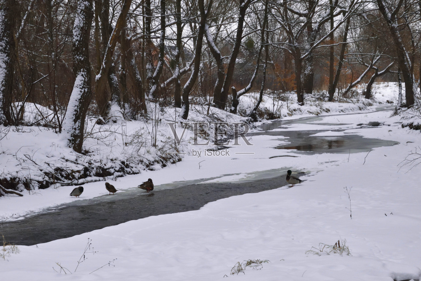 解冻照片摄影图片
