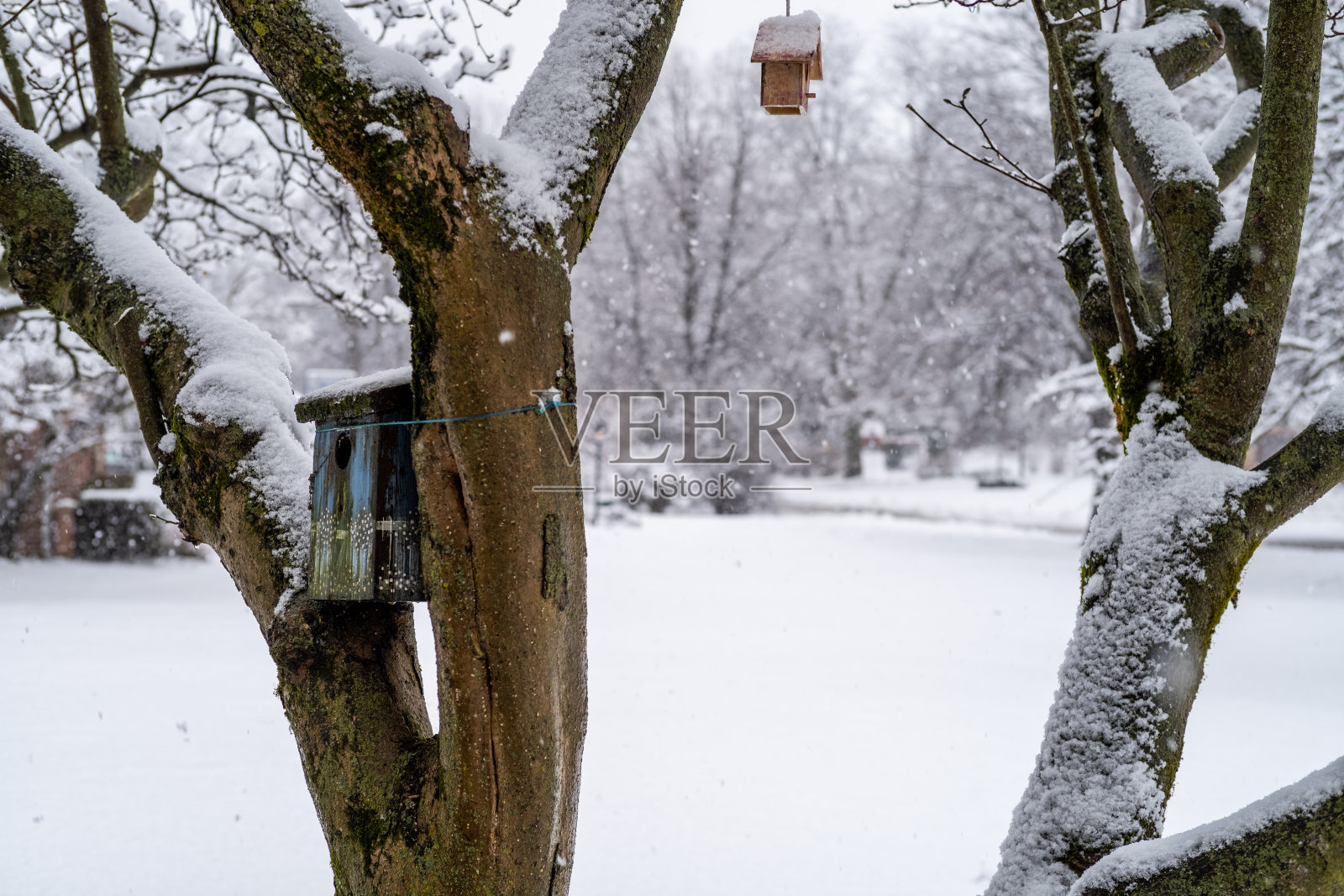 雪中悬鸟屋照片摄影图片