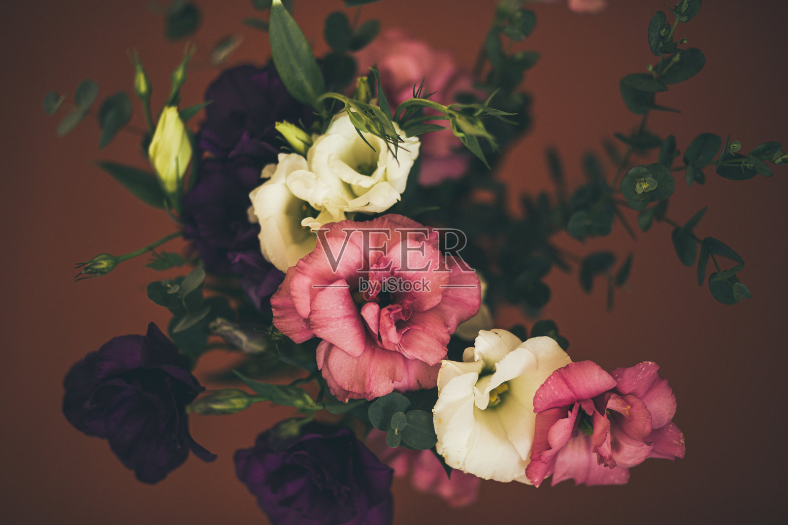 花束特写照片摄影图片