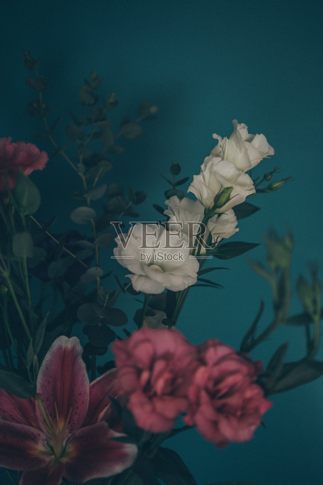 花束特写照片摄影图片