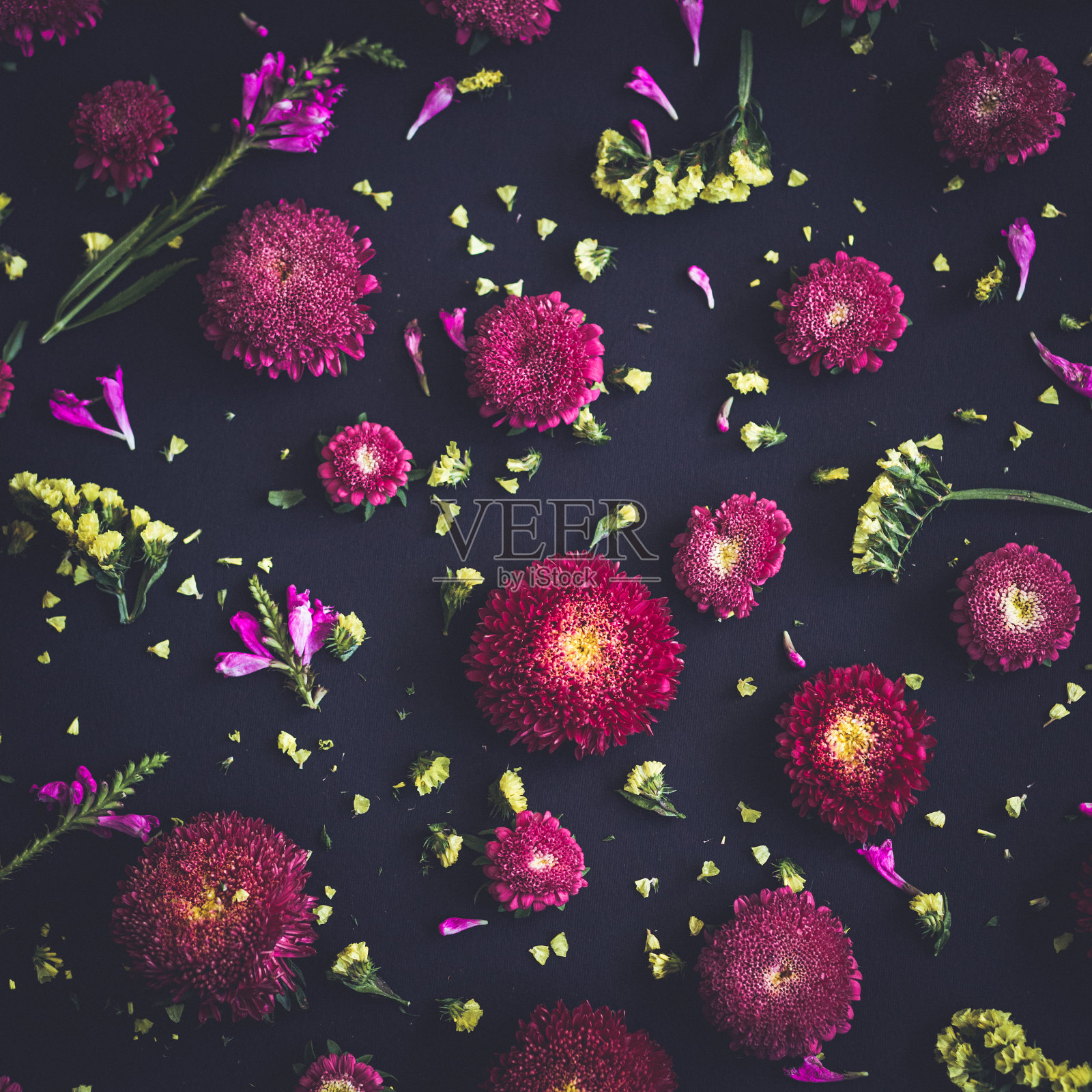 花组成平铺照片摄影图片