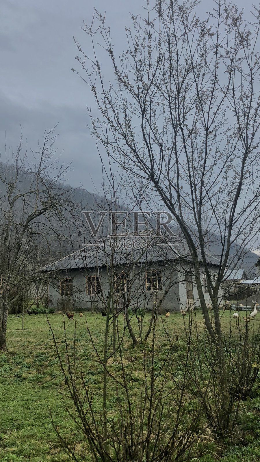 冬天照片摄影图片