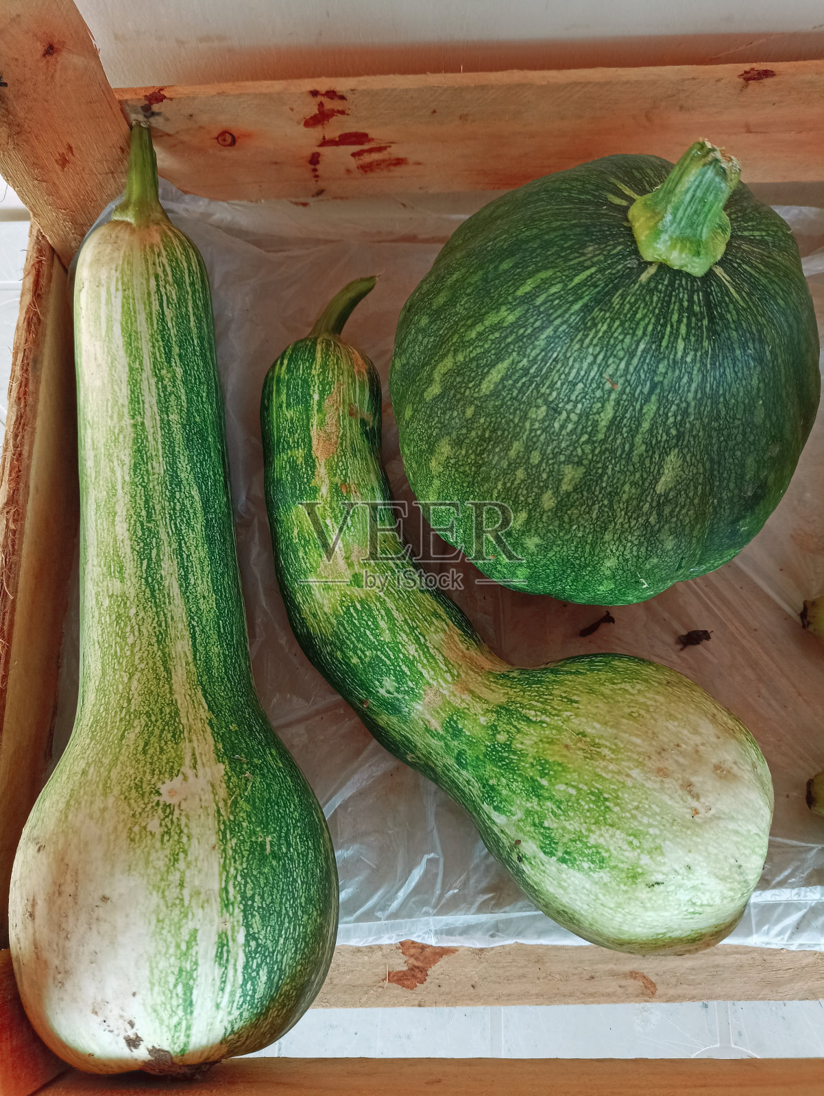 绿色南瓜照片摄影图片