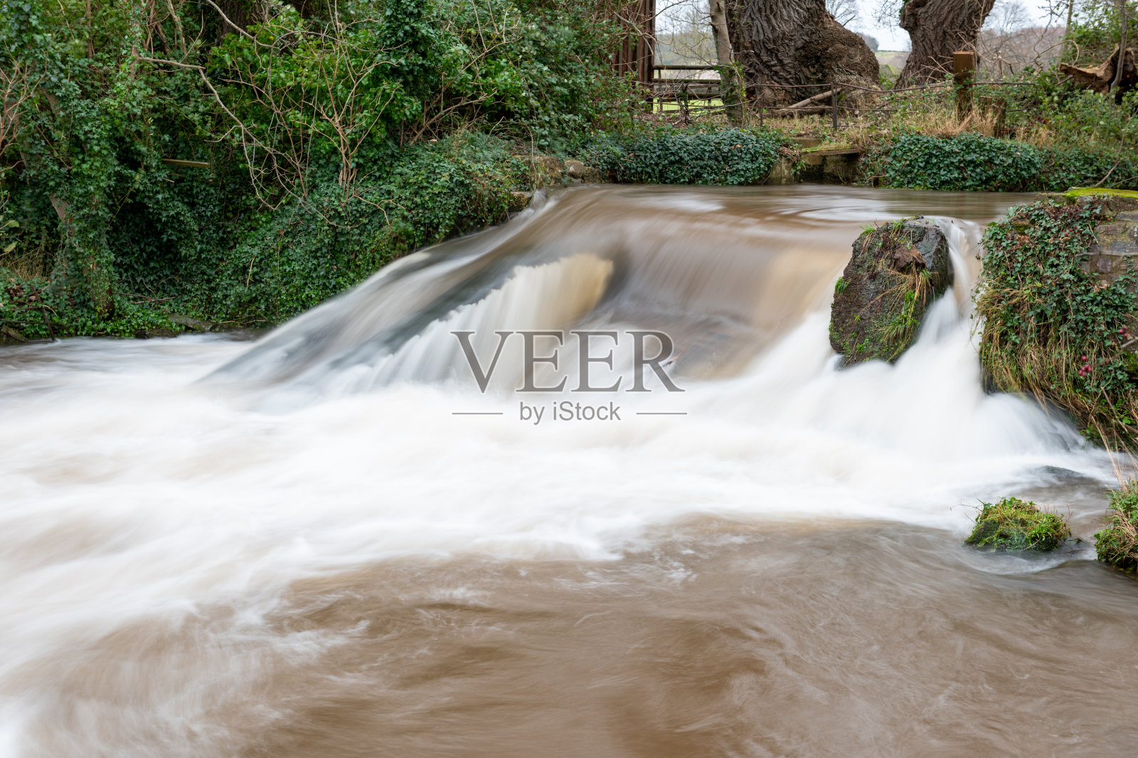 邓斯特照片摄影图片