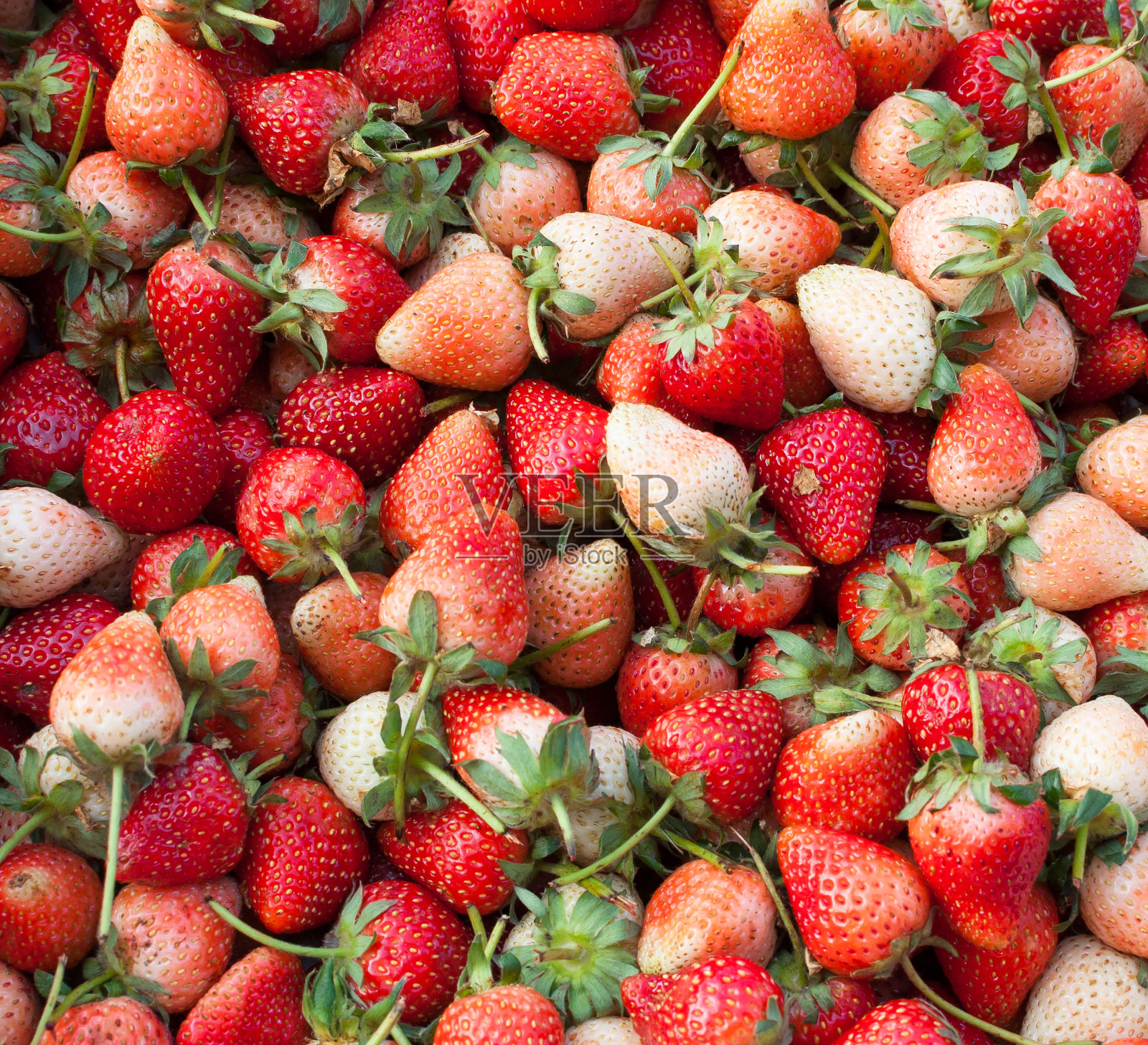 鲜果草莓，浆果红色为底色照片摄影图片