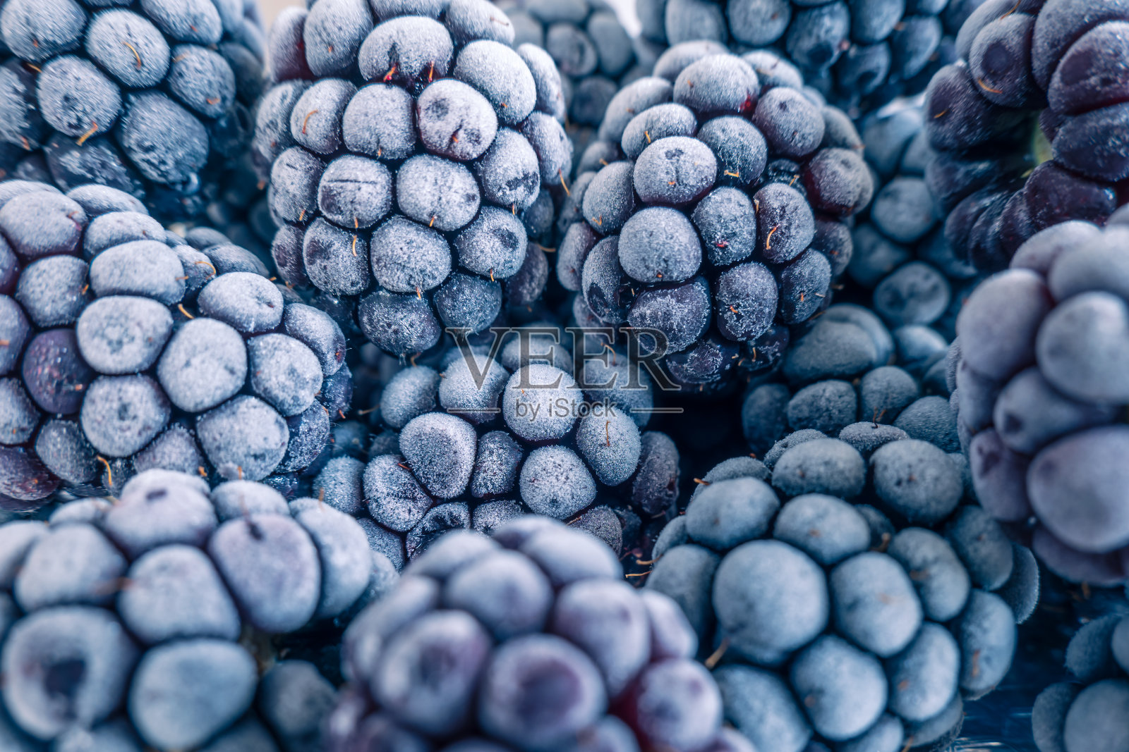 冰冻的黑莓特写照片摄影图片