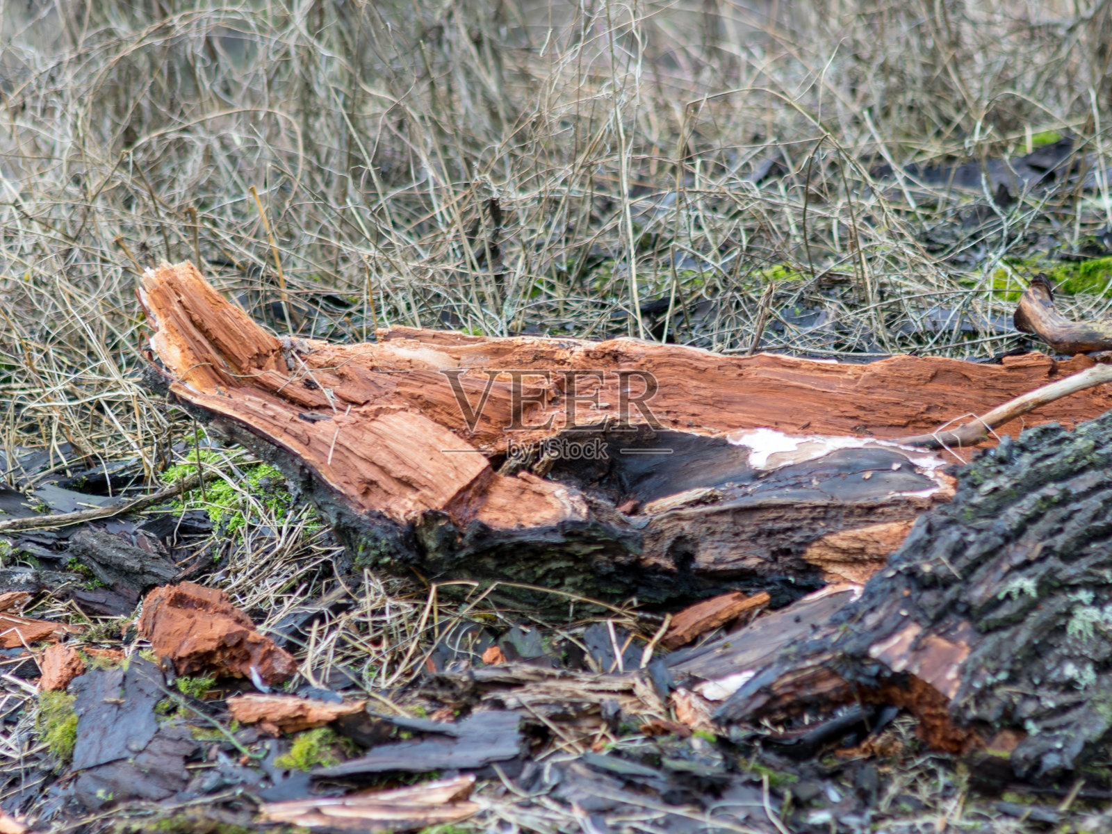 用厚木块画照片摄影图片