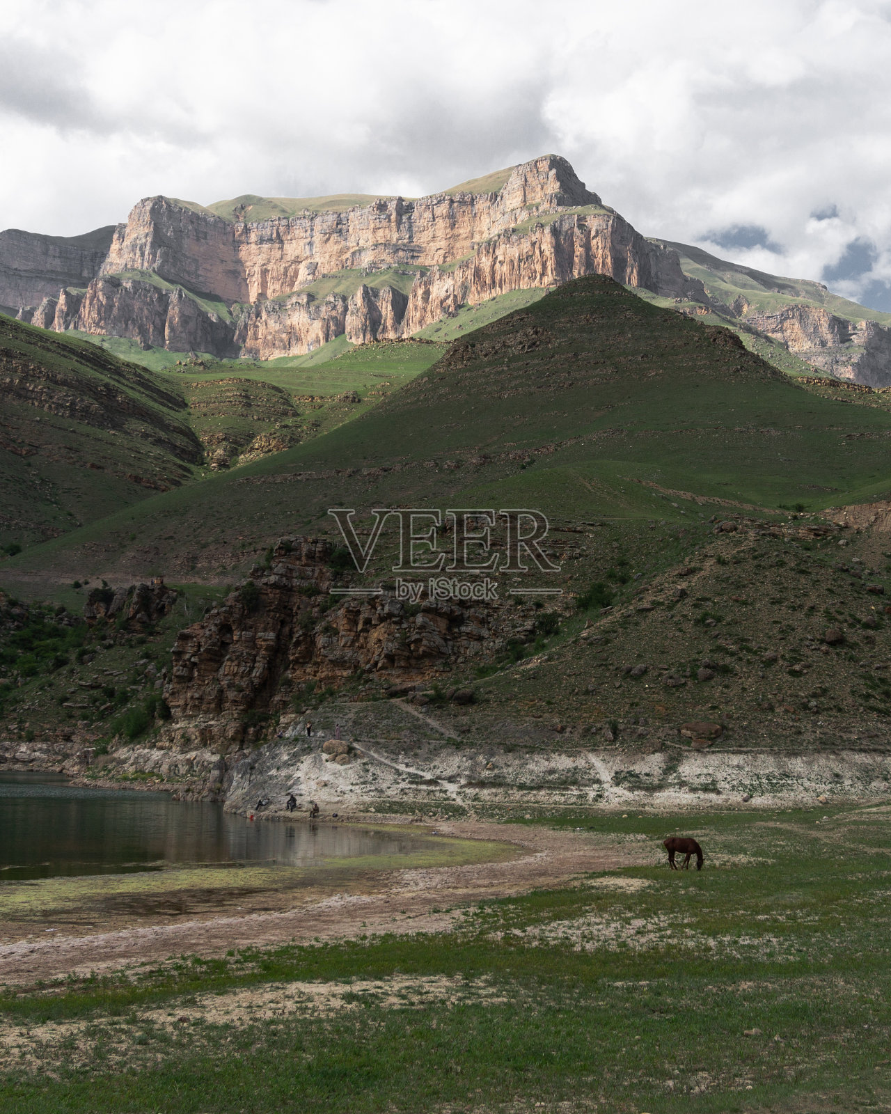 山中湖边的一匹马照片摄影图片