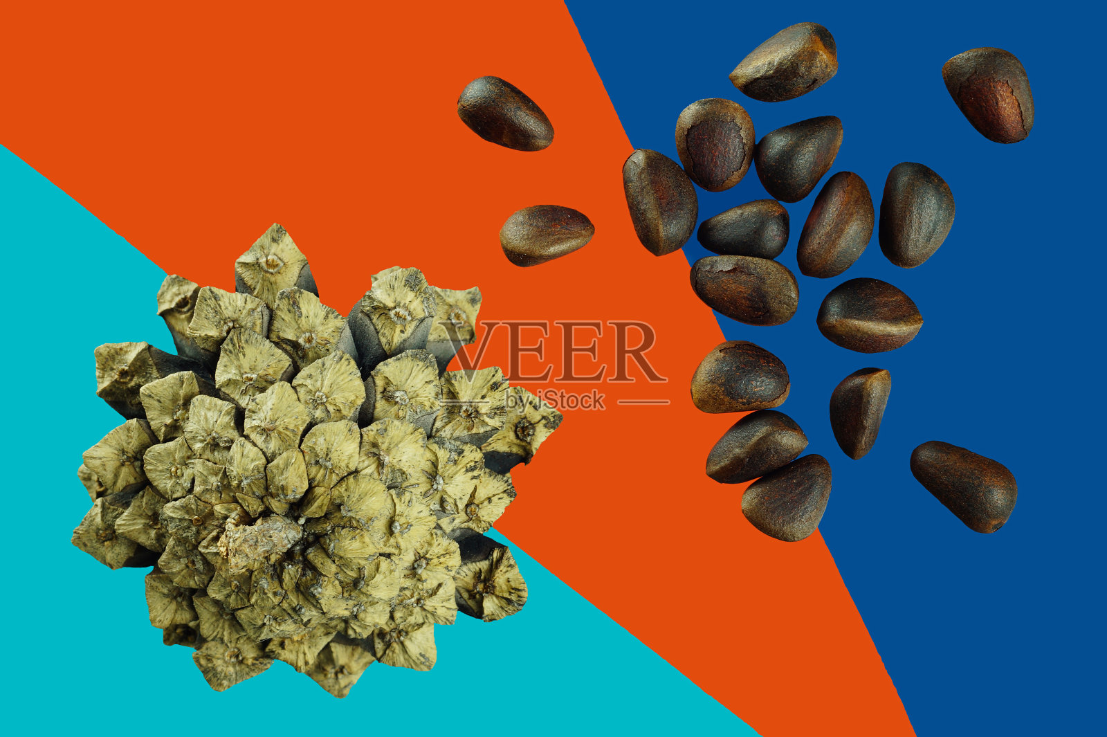 松果和松子。照片摄影图片