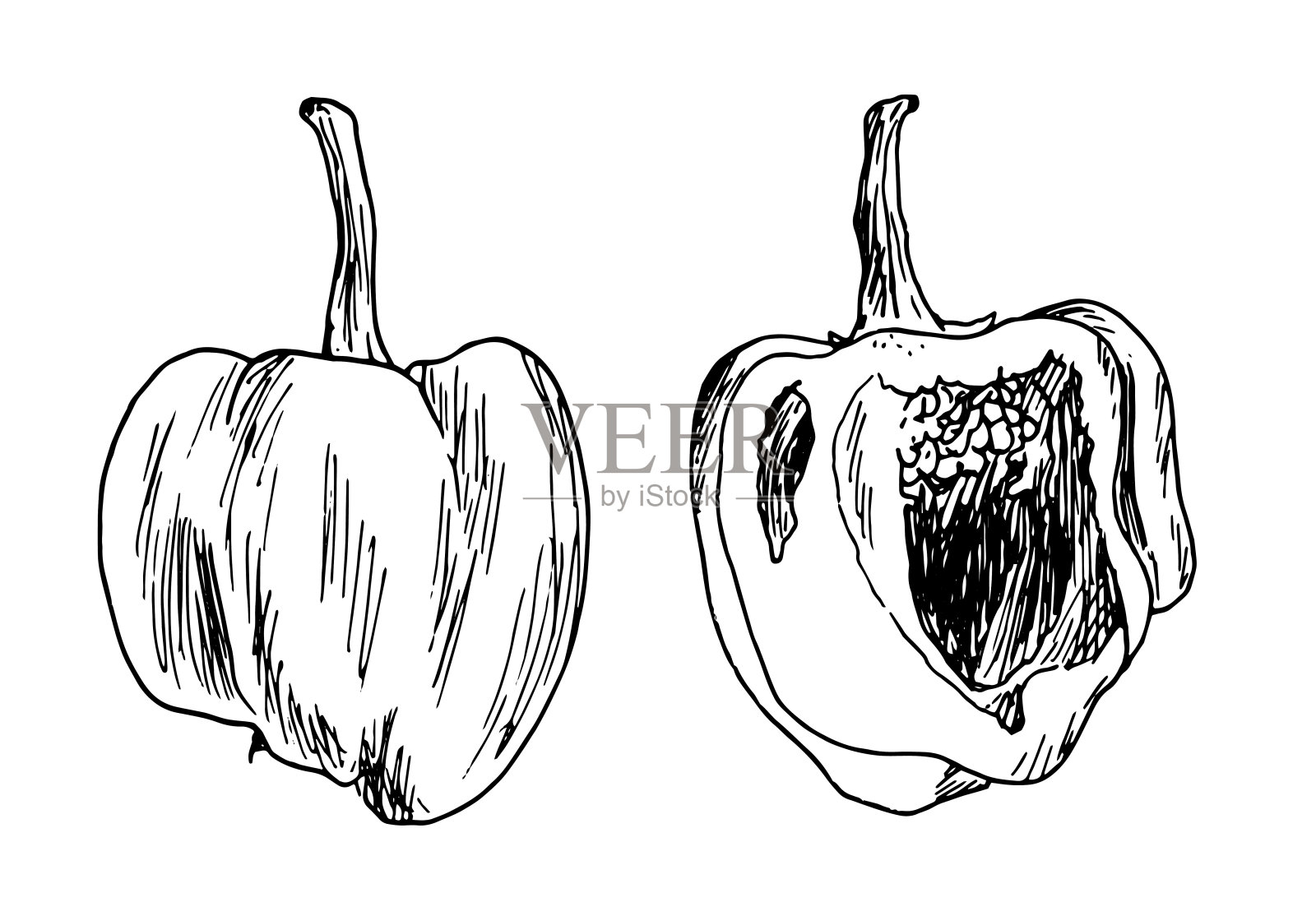 这是一组辣椒素描。一套完整的胡椒和一半，手绘草图风格，孤立的黑色轮廓在白色的一个设计模板。素食蔬菜辣椒插画图片素材