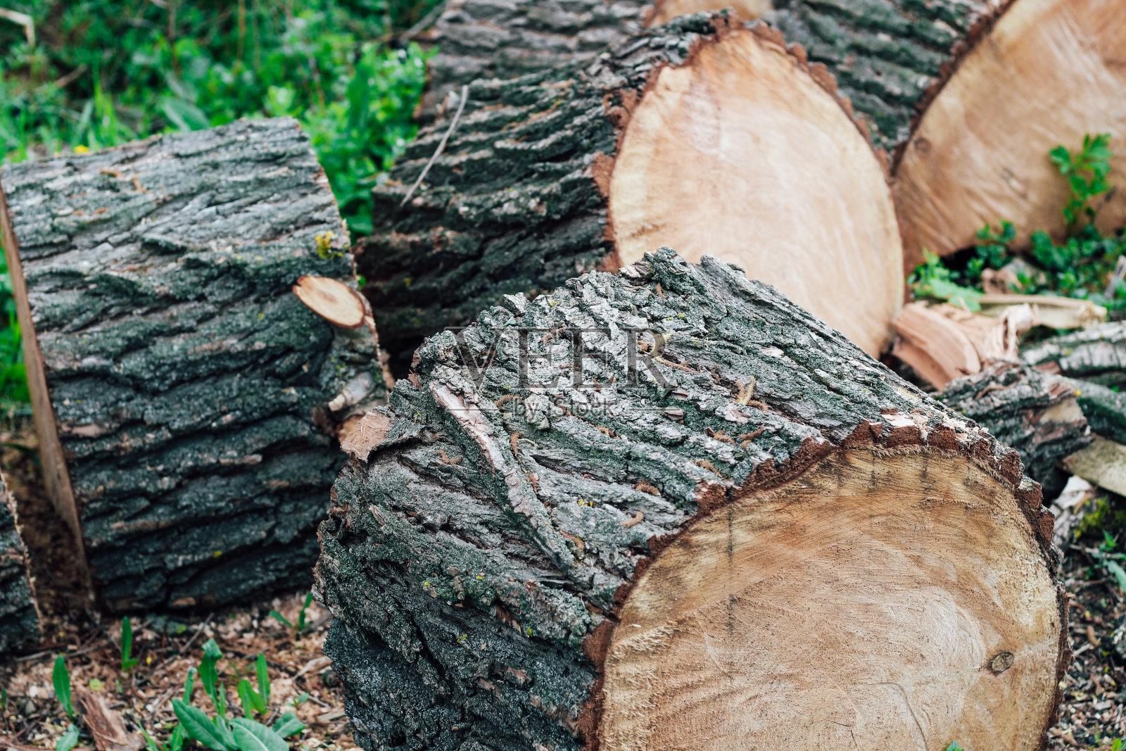 燃烧的木材纹理，煤。森林火灾的后果照片摄影图片