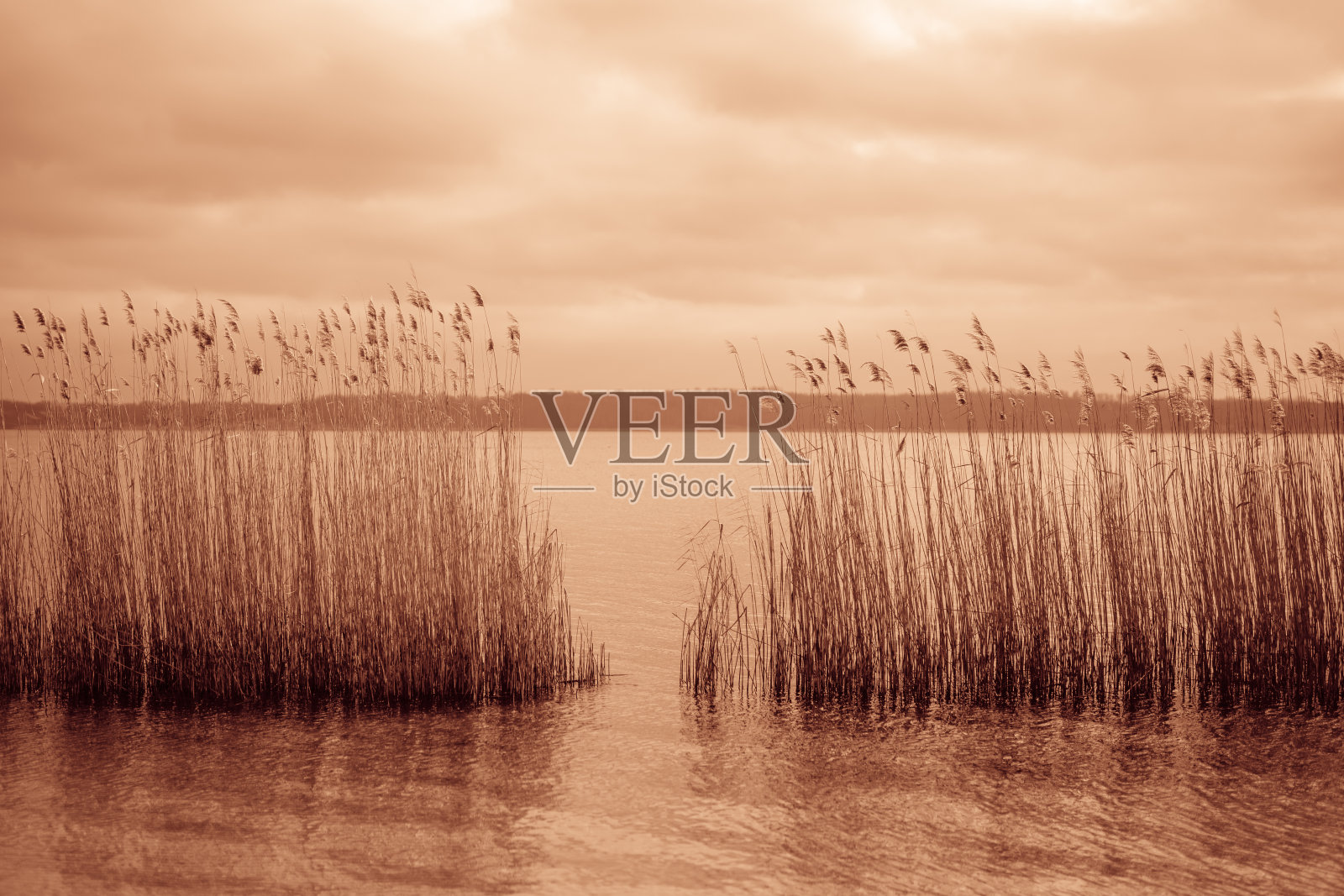 湖照片摄影图片