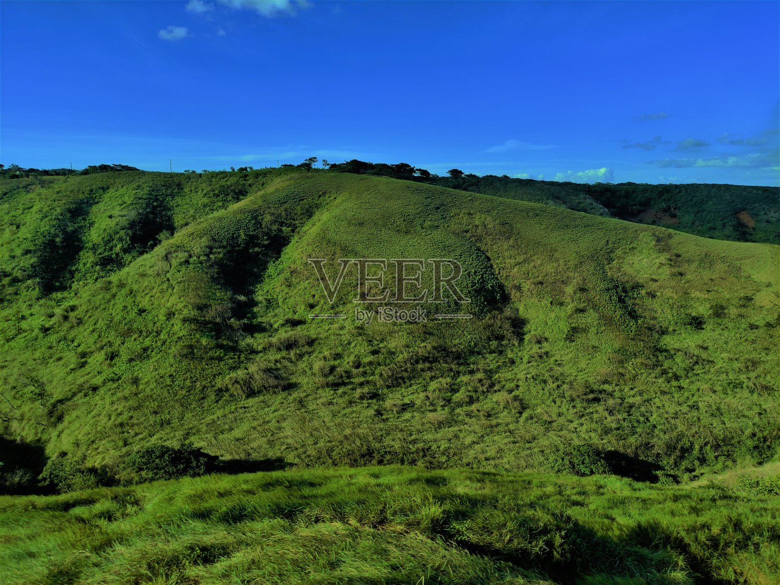植被的观点照片摄影图片