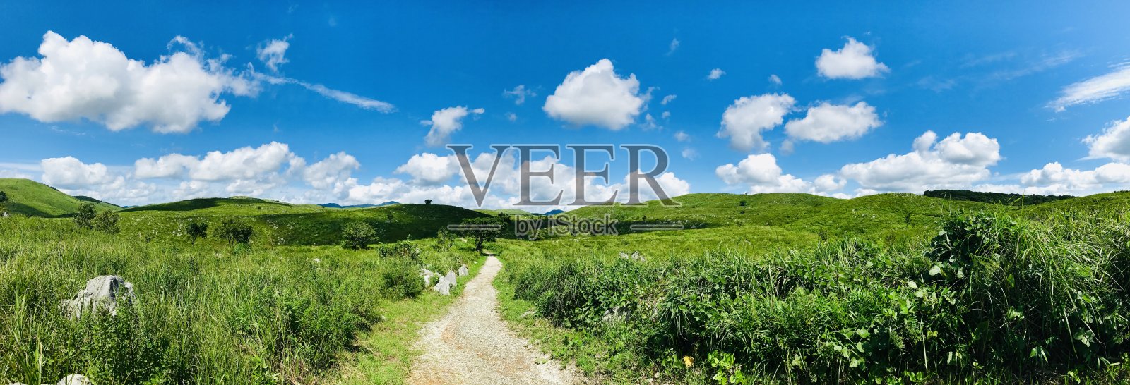 场照片摄影图片