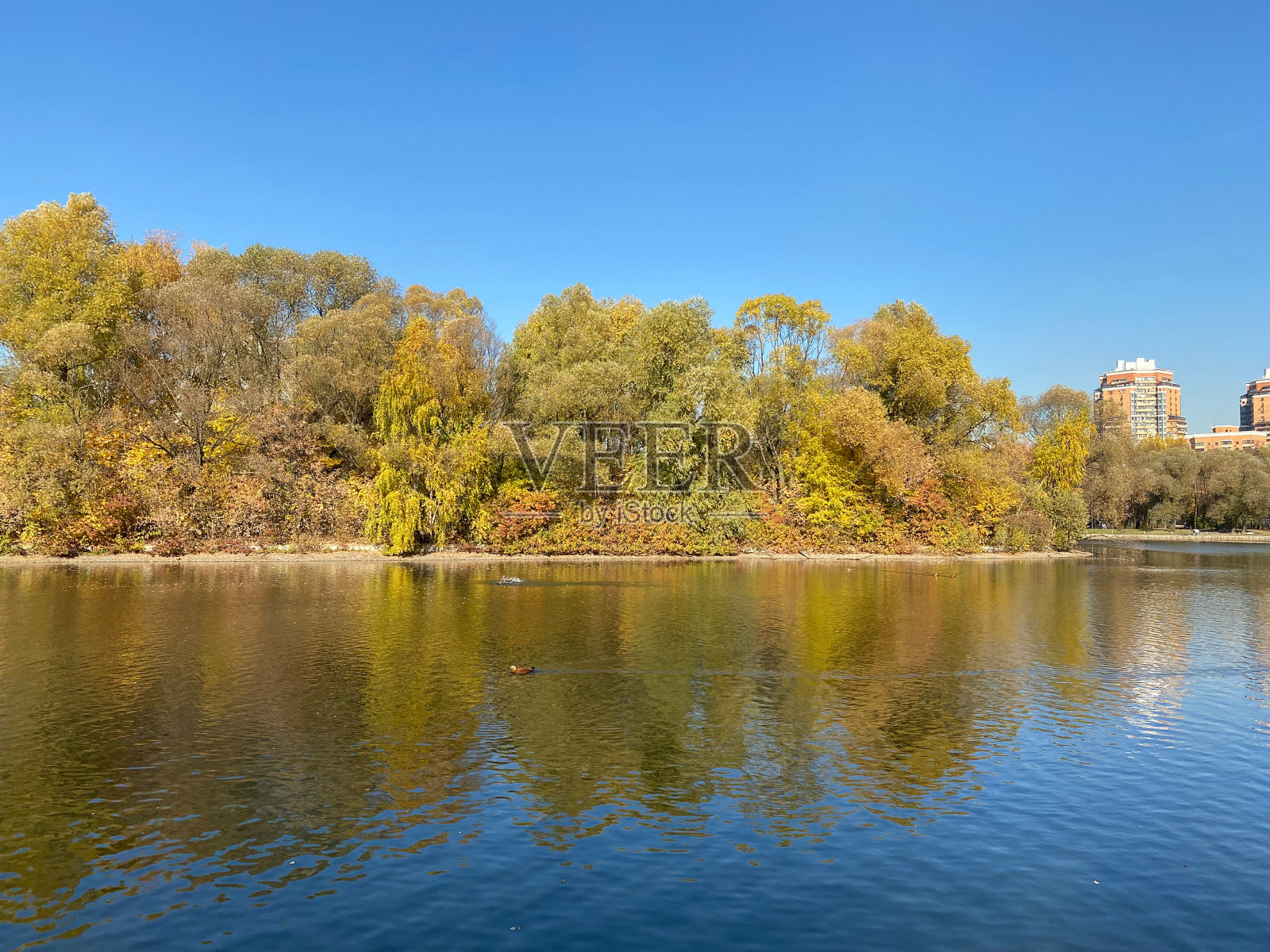 公园于秋日在干燥晴朗的秋日照片摄影图片