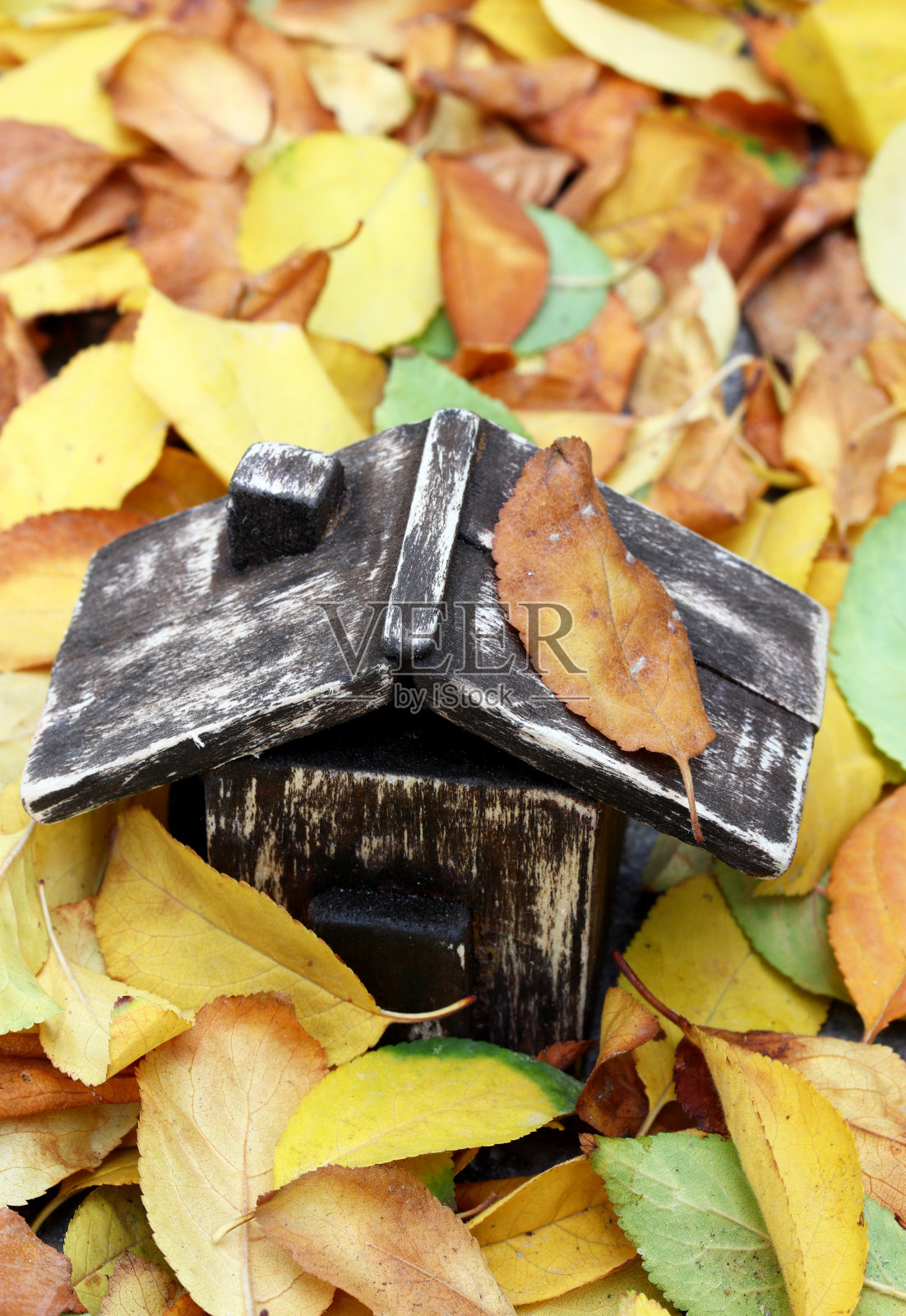 木制微型玩具房子上的秋叶背景照片摄影图片