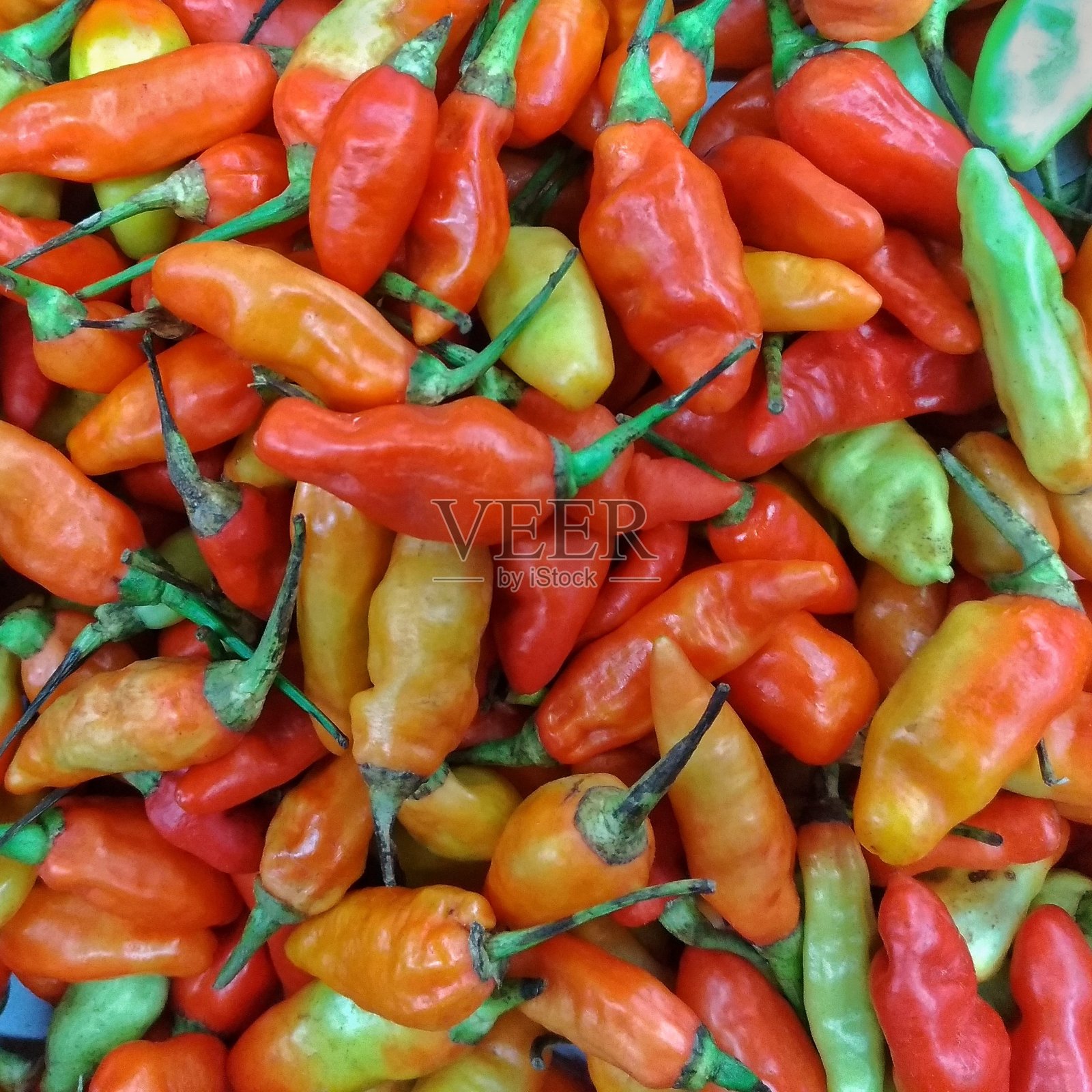 热照片摄影图片