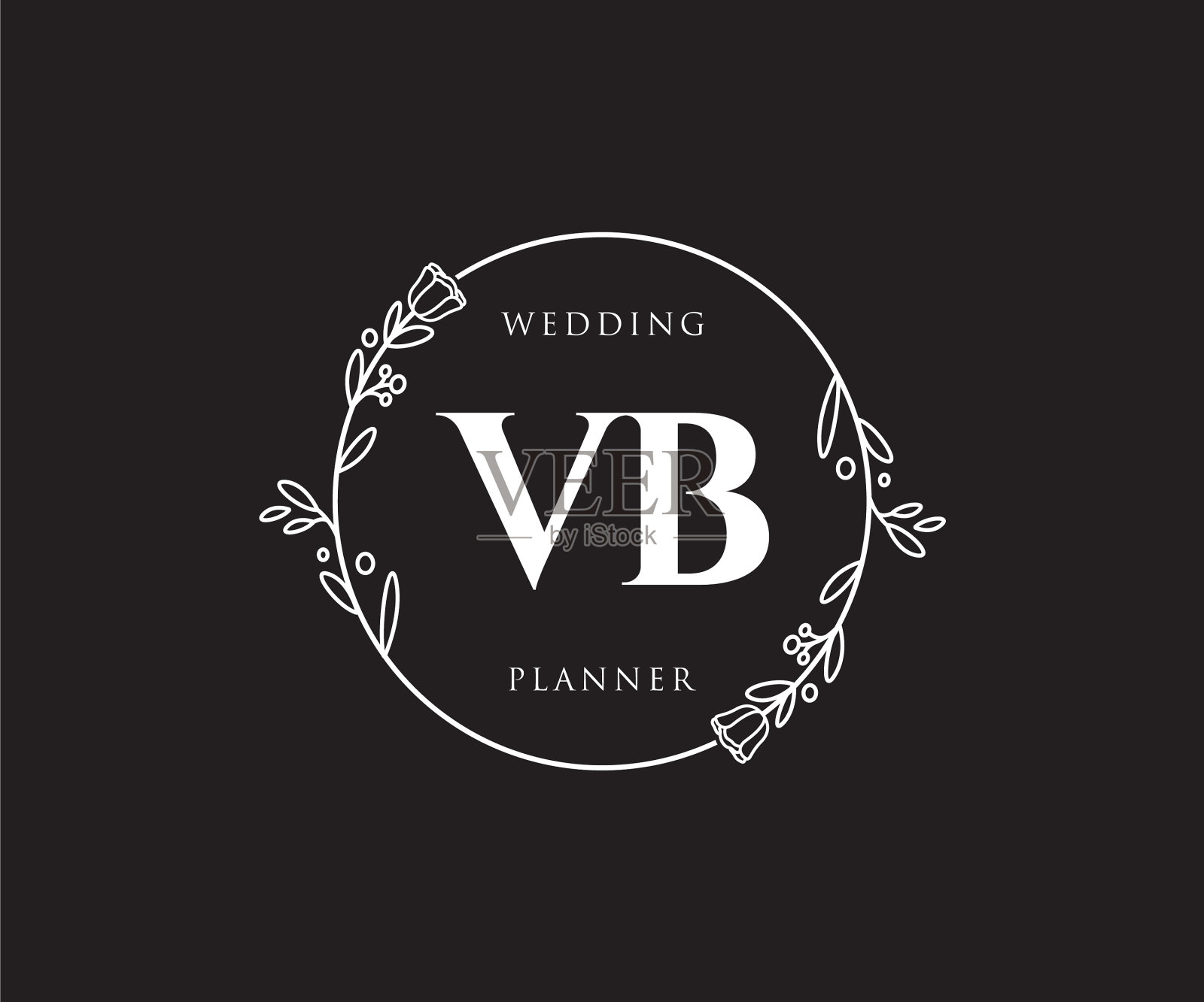 最初的vb女性标志可用于自然沙龙插画图片素材