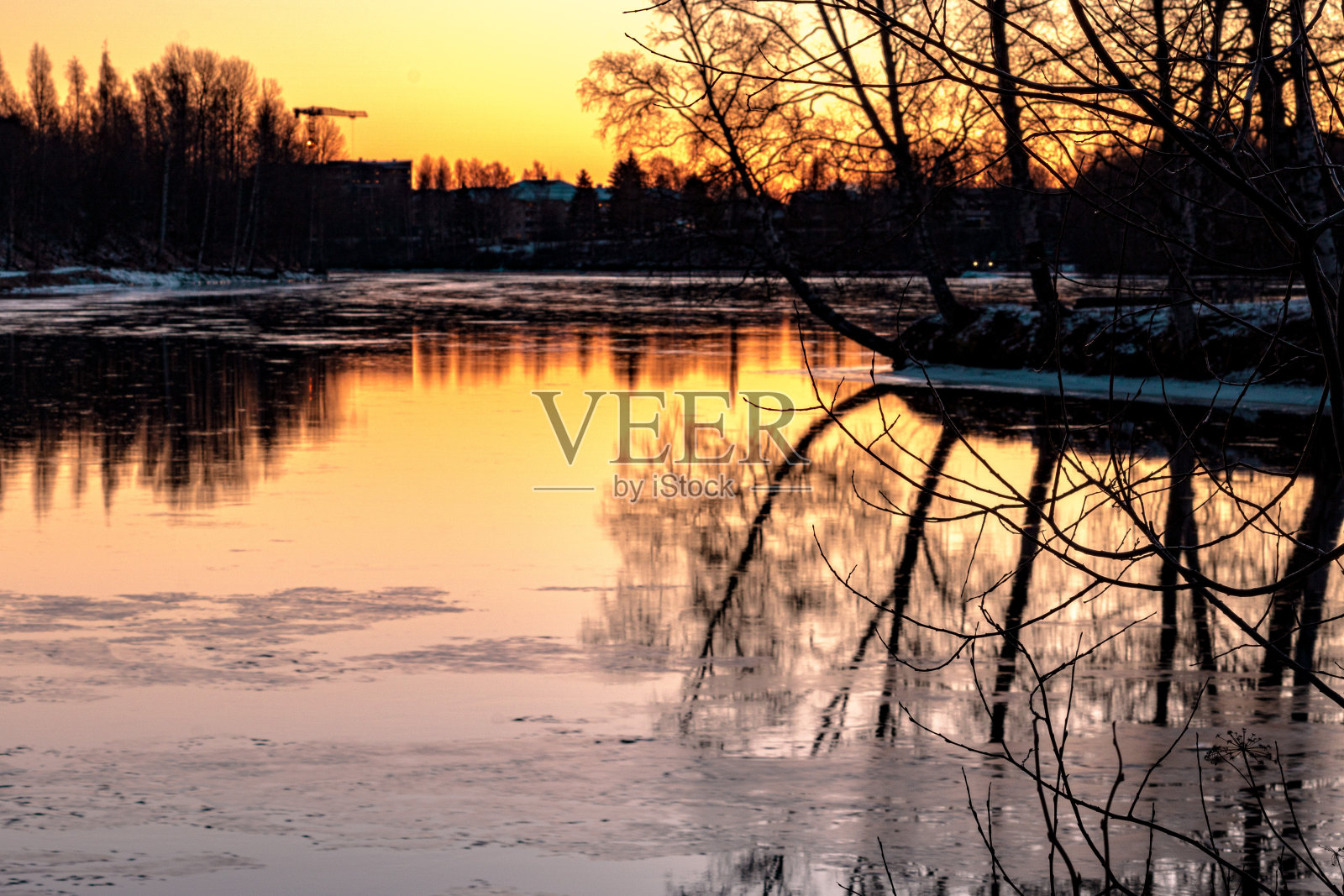 夕阳西下湖边树木的剪影照片摄影图片