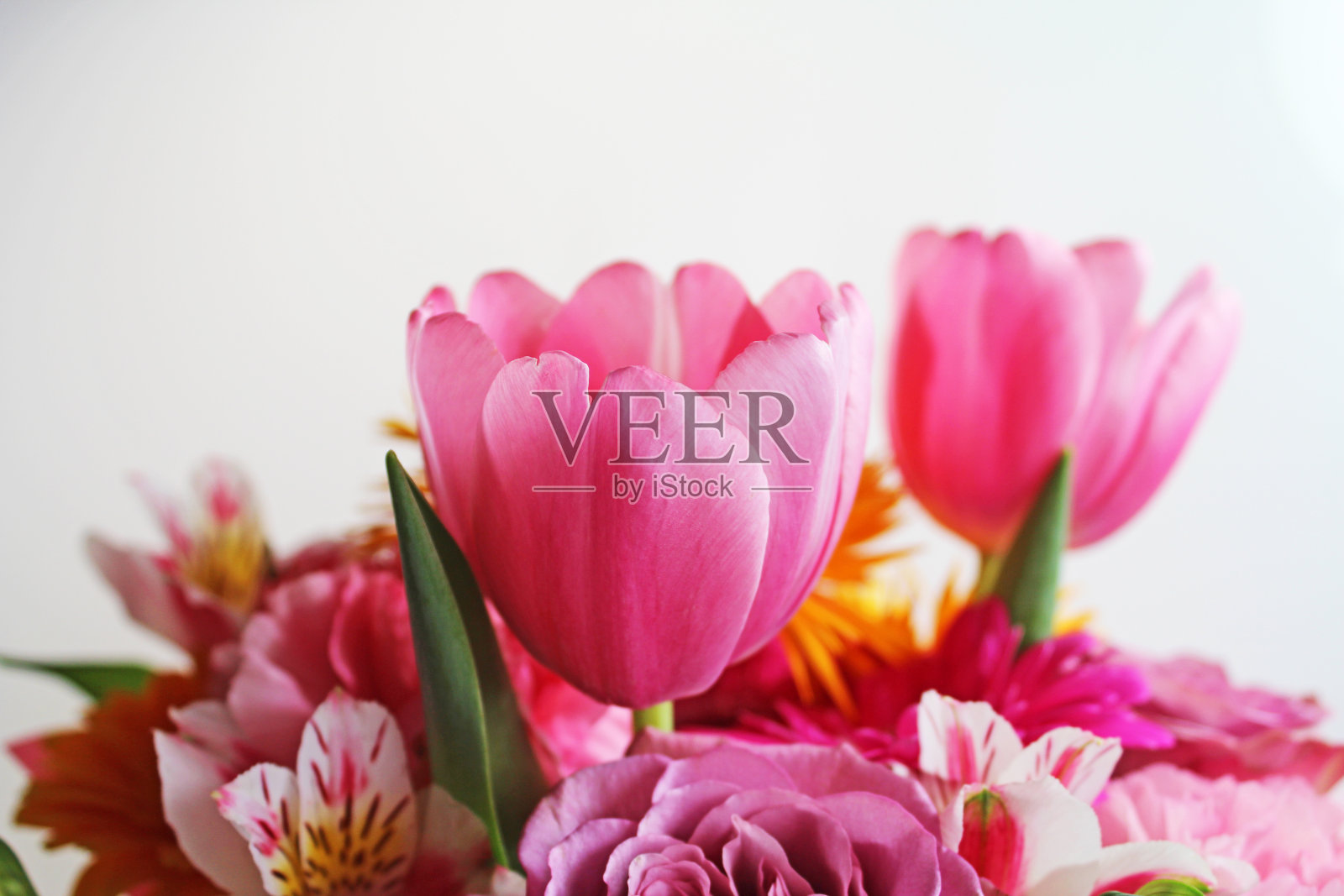 非洲菊、郁金香和其他花束照片摄影图片