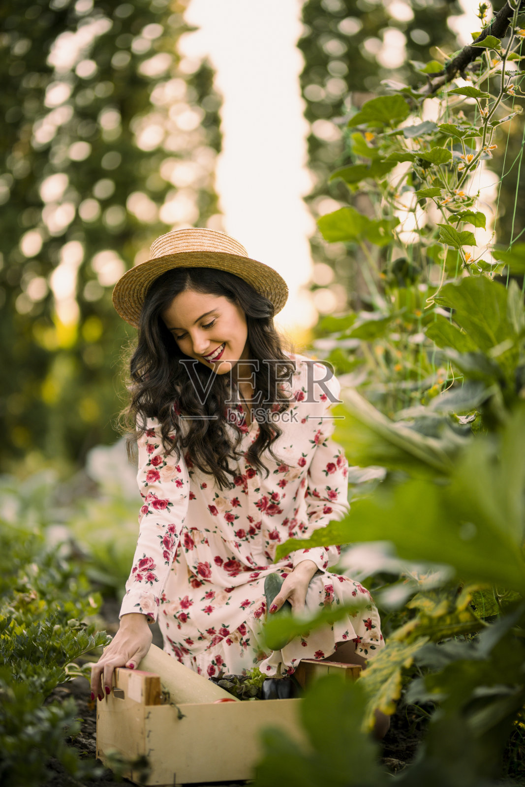 一个漂亮的年轻女农民在她的菜园里工作的照片照片摄影图片