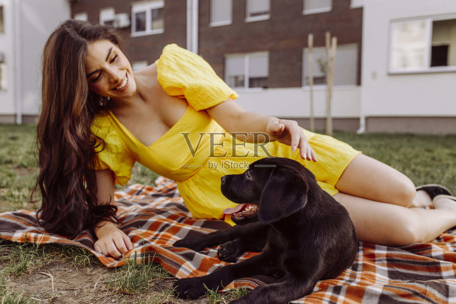 美丽的年轻女子和她的拉布拉多狗野餐照片摄影图片