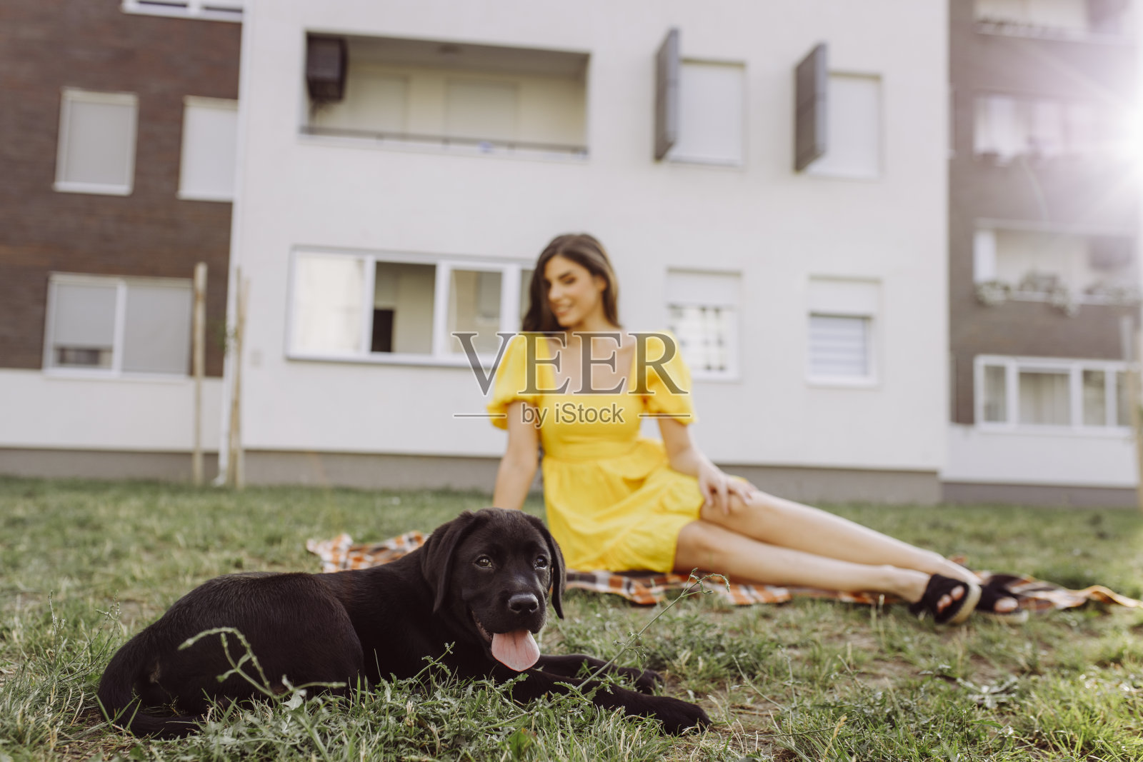 美丽的年轻女子和她的拉布拉多狗野餐照片摄影图片