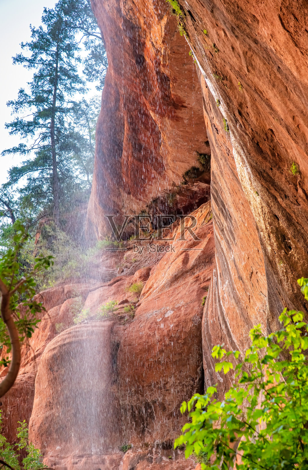 犹他州锡安国家公园的一个美丽的峡谷壁瀑布照片摄影图片