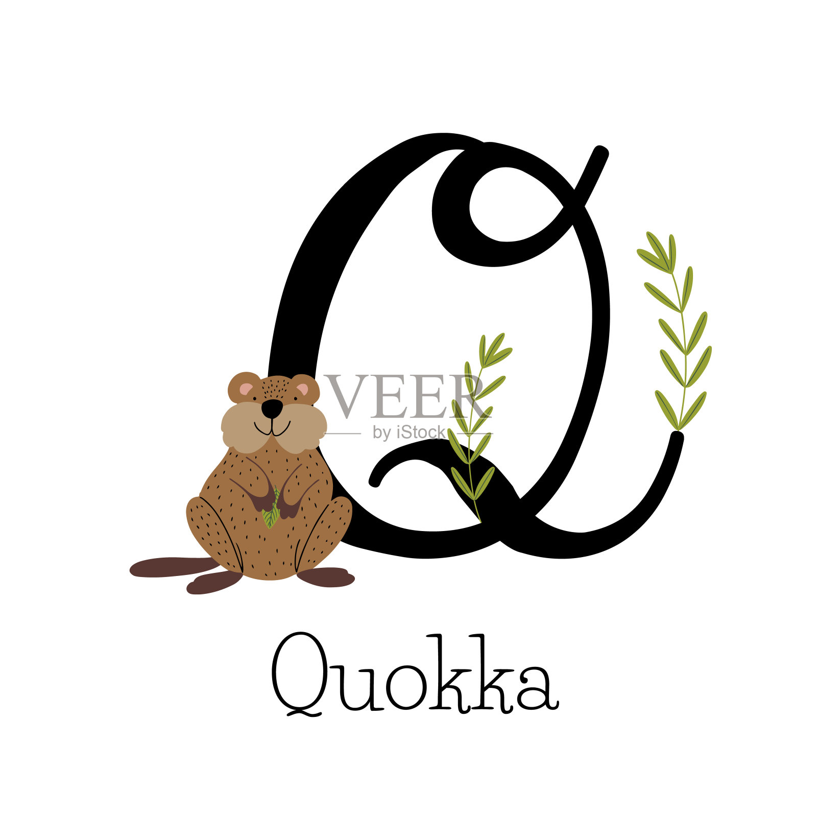 有字母Q的可爱短尾矮袋鼠设计元素图片