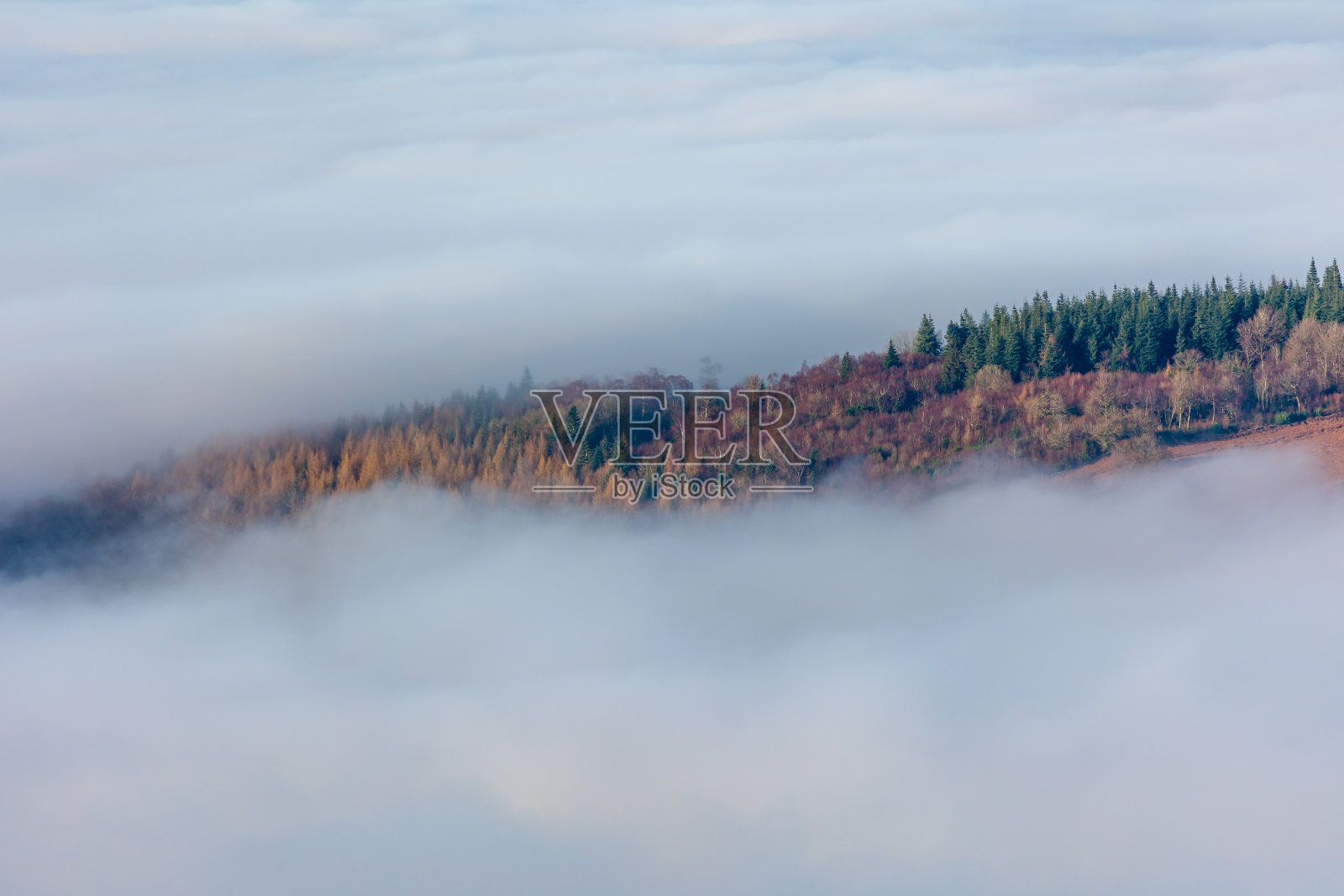 在威尔士的布雷肯信标上，山脉和树木通过低空的雾和云倒转显示出来照片摄影图片