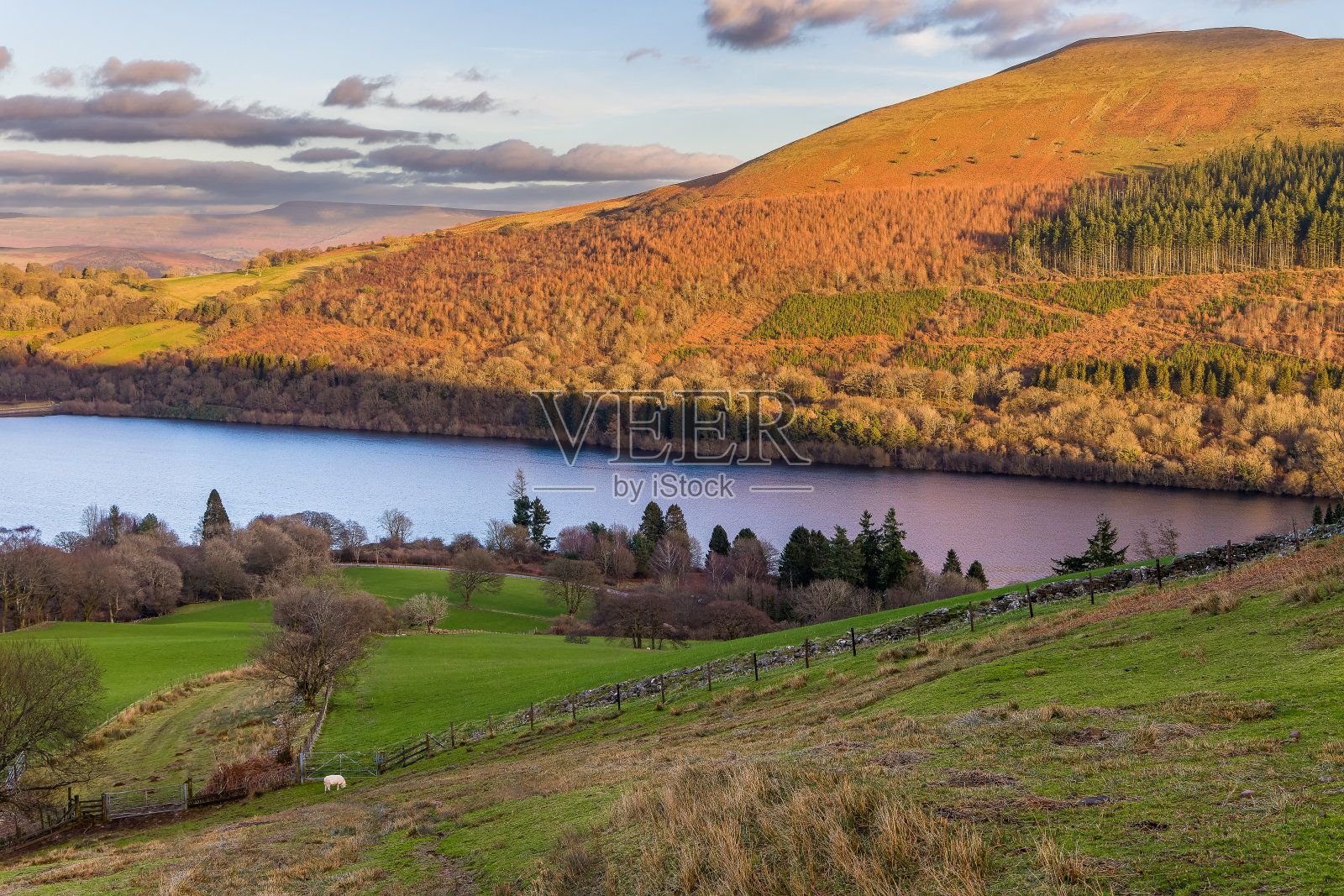 傍晚的阳光照射在威尔士布雷肯比肯的乡村农田和山丘上照片摄影图片